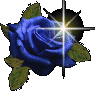 rose_farbwechsel.gif
